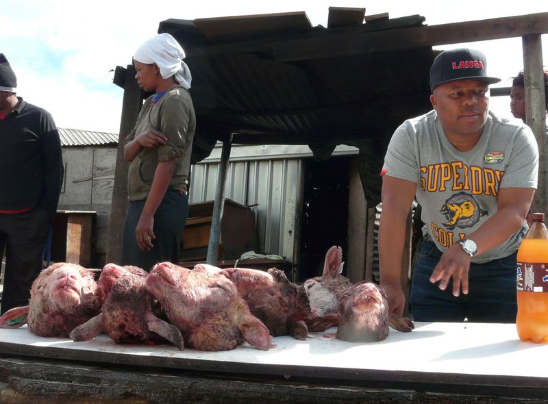 Groepsreis Namibië &amp; Zuid-Afrika township in Cape Town