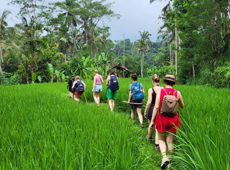 Studiereis Bali