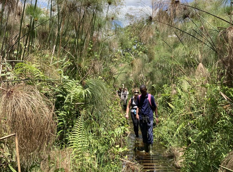 Groepsreis Oeganda Bigodi Wetlands nature hike