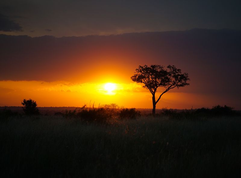 Groepsreis Zuid-Afrika zonsondergang in de bush