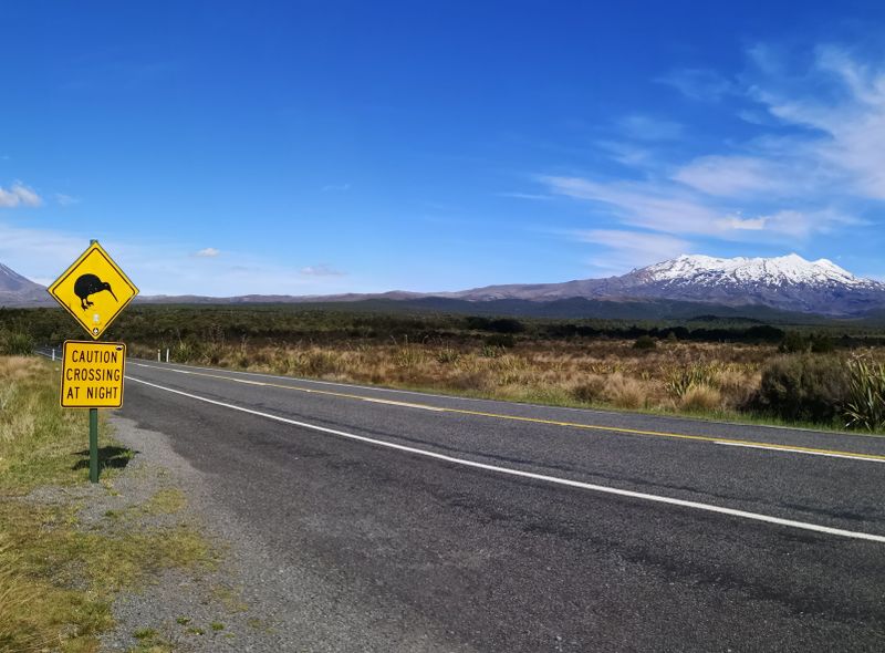 Groepsreis Nieuw-Zeeland op weg naar Tongariro