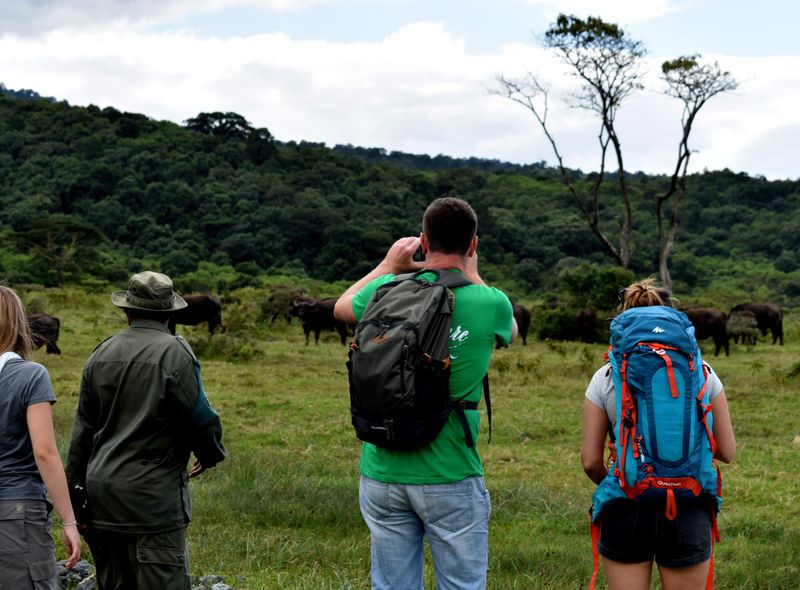 Groepsreis Kenia Oeganda en Tanzania jongerenreis wandelen op safari buffels