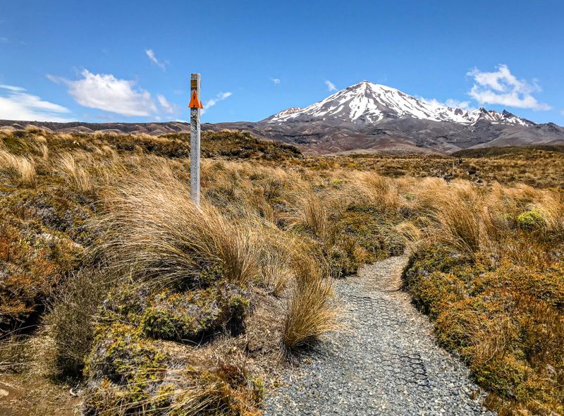 Groepsreis Nieuw-Zeeland Tongariro