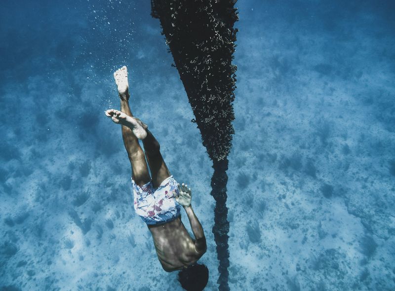 Groepsreis Portugal surf &amp; dive freediva PADI