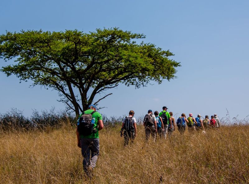 Groepsreis Zuid-Afrika wandelsafari