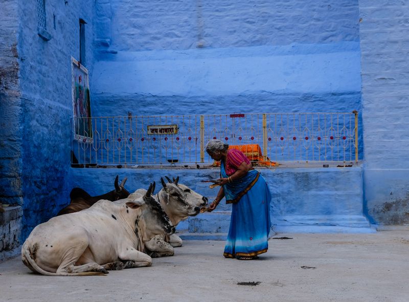 Groepsreis jongerenreis India Jodhpur