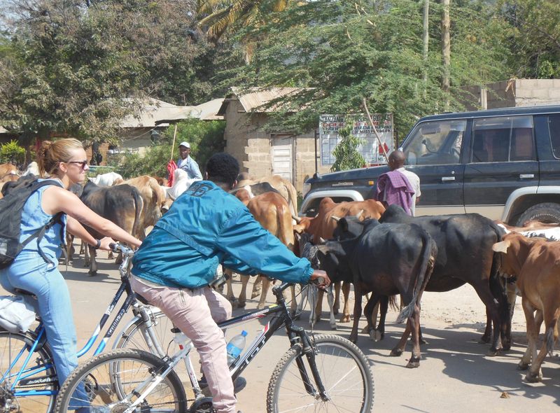 Groepsreis Kenia Oeganda en Tanzania jongerenreis fietsen in Mto wa Mbu