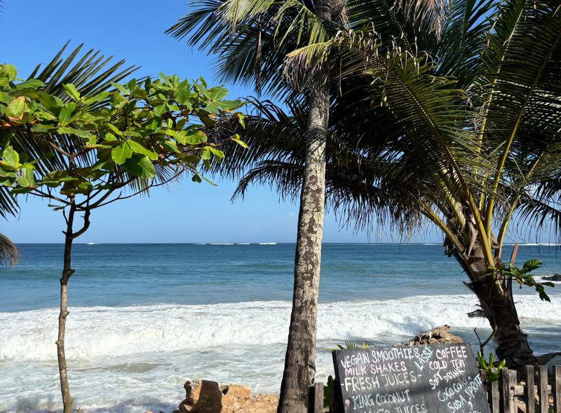 Groepsreis Sri Lanka strand kust palmboom