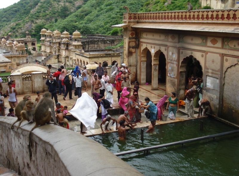 Groepsreis India jongerenreis Monkey Temple in Jaipur