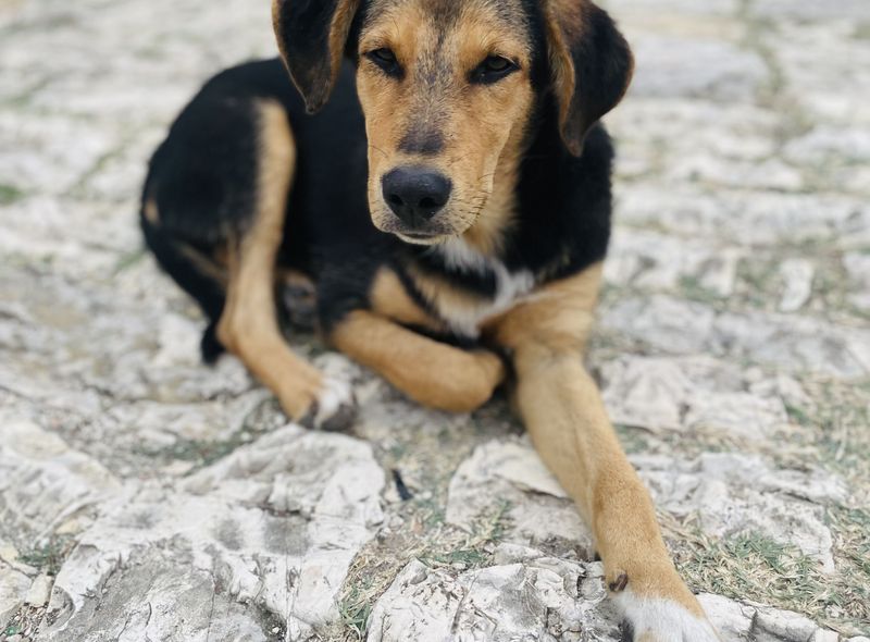 Berat Groepsreis Albanië