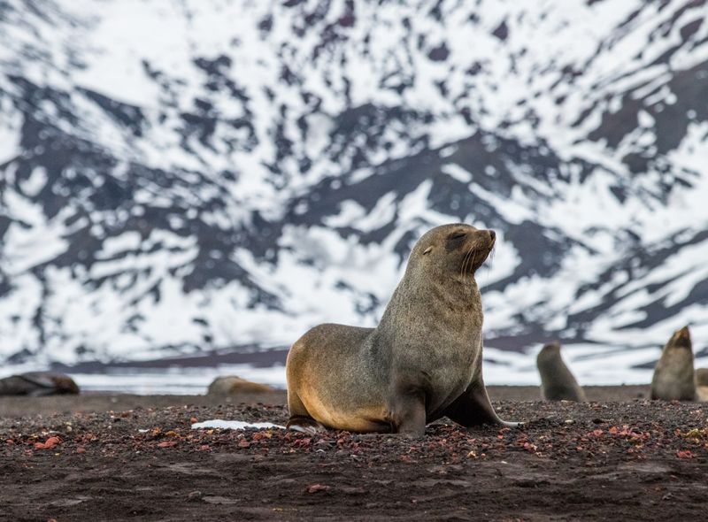 Groepsreis Antarctica
