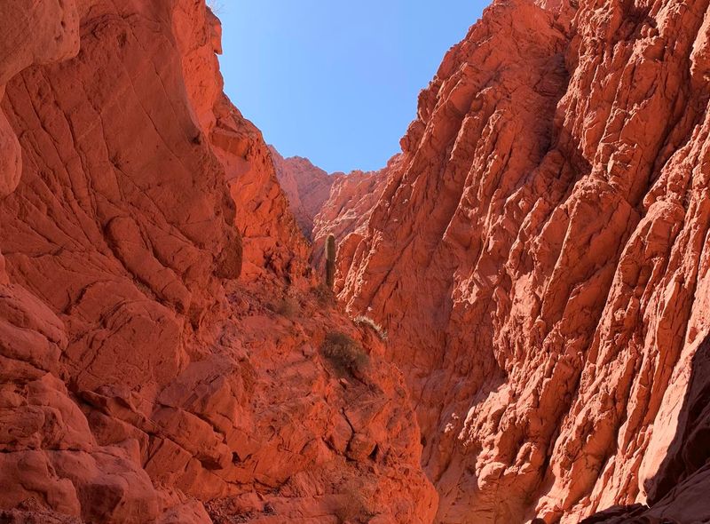 Groepsreis Argentinie en Chili