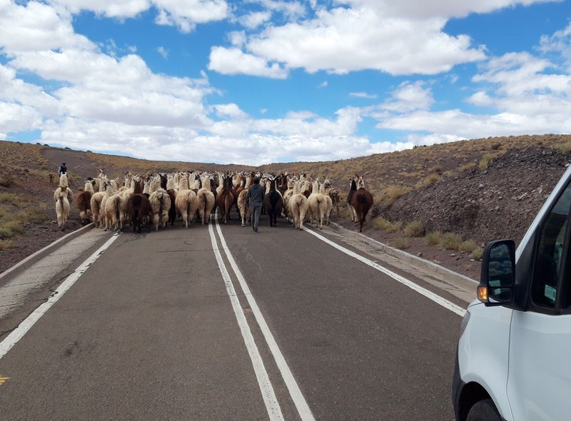 Groepsreis Argentinie en Chili