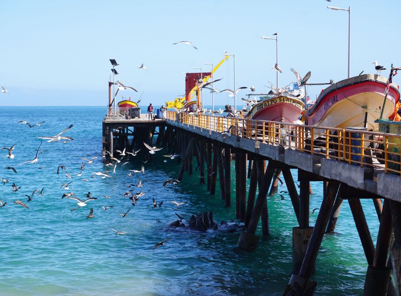 Groepsreis Argentinie en Chili