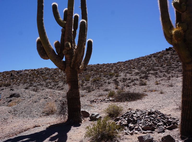 Groepsreis Argentinie en Chili
