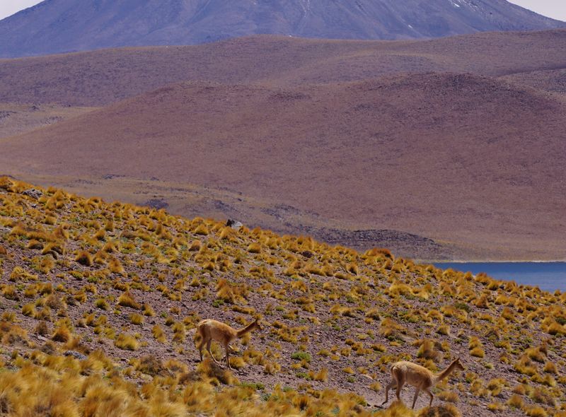 Groepsreis Argentinie en Chili