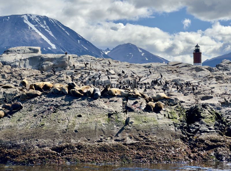 groepsreis Patagonië - Argentinië Chili