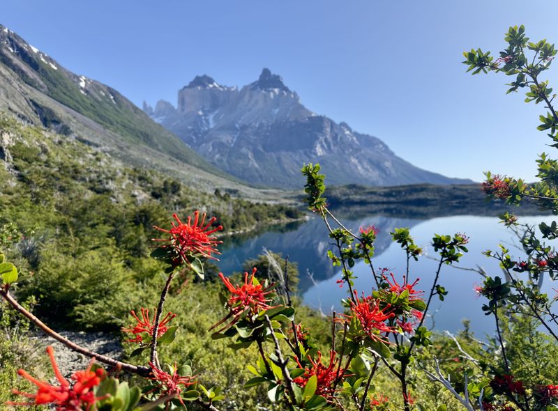 groepsreis Patagonië - Argentinië Chili