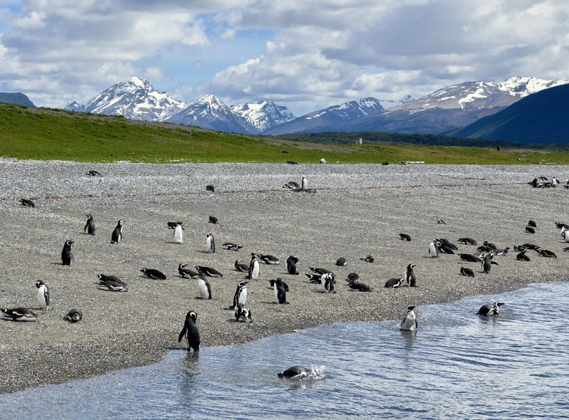 groepsreis Patagonië - Argentinië Chili