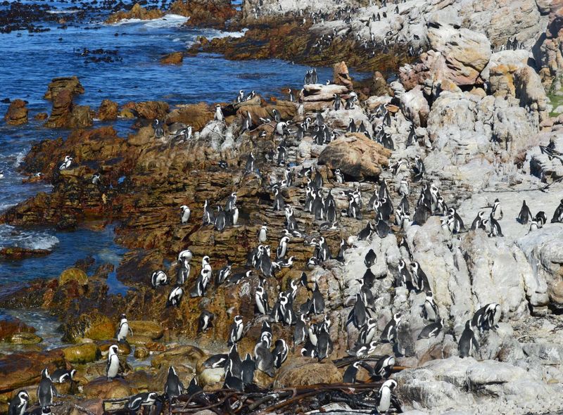 Zuid-Afrika Swaziland Lesotho groepsreis rondreis selfdrive