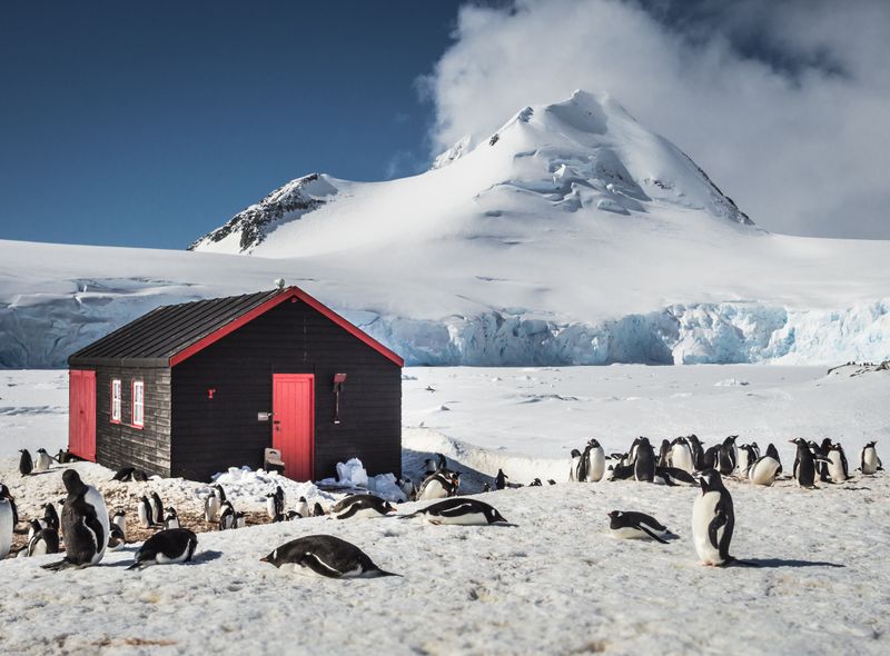 Groepsreis Antarctica