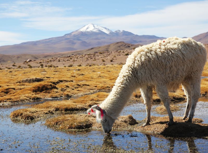 Bolivia