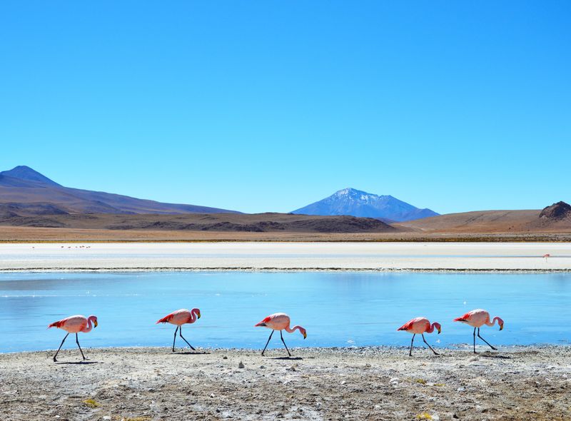 Salar de Uyuni