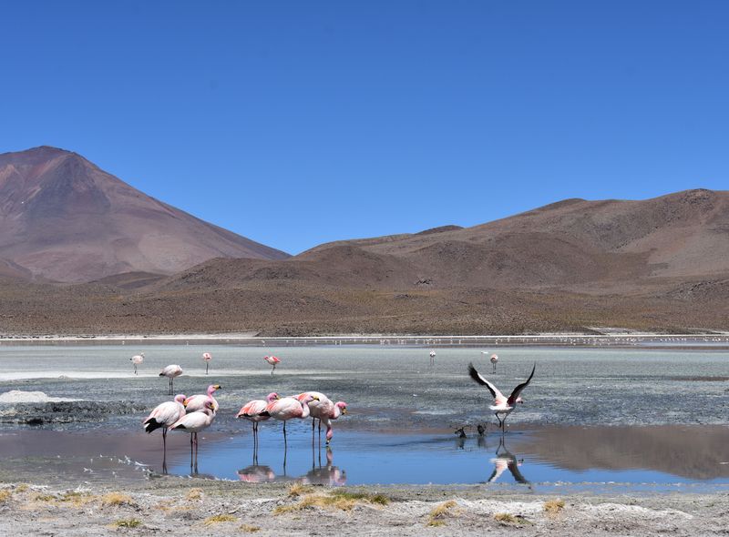 Groepsreis Bolivia en Peru