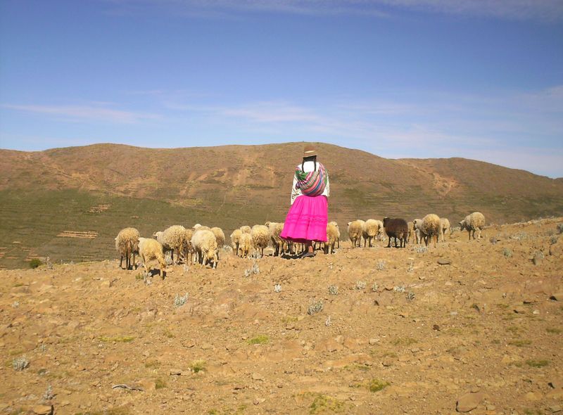 Titicaca