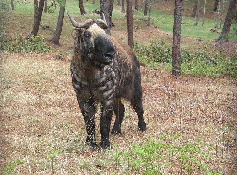 Groepsreis India en Bhutan