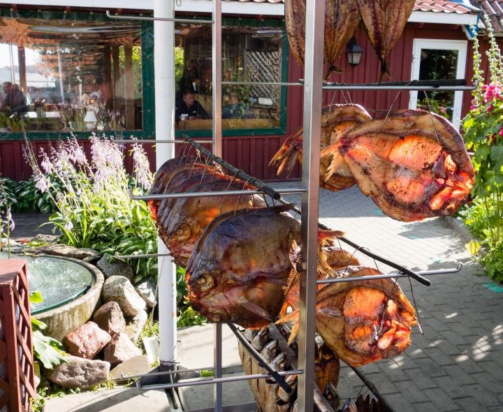 Groepsreis Litouwen Letland Estland