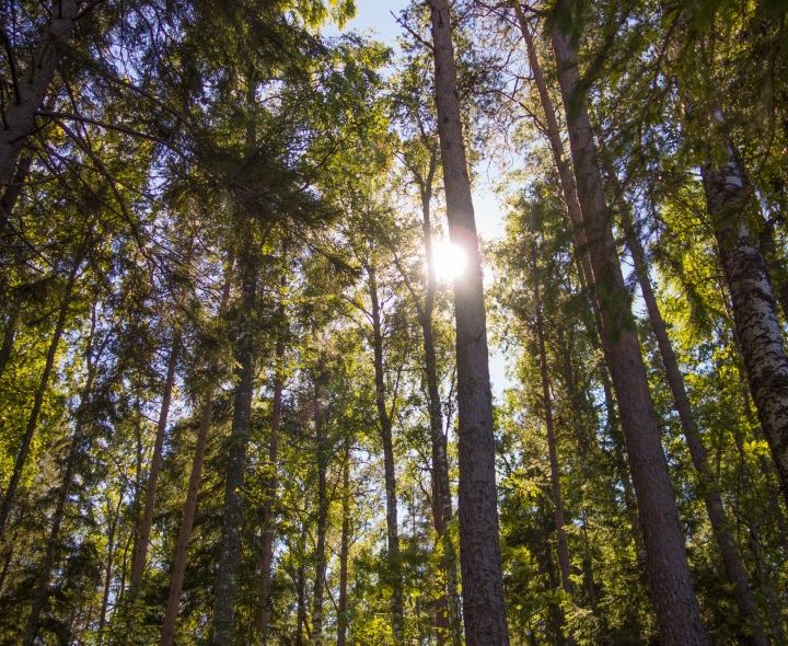 Groepsreis Litouwen Letland Estland