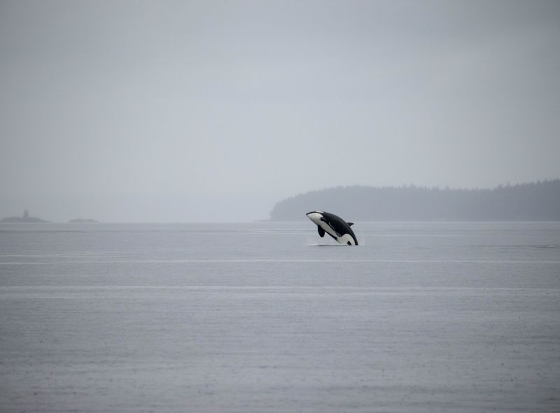 Groepsreis West - Canada