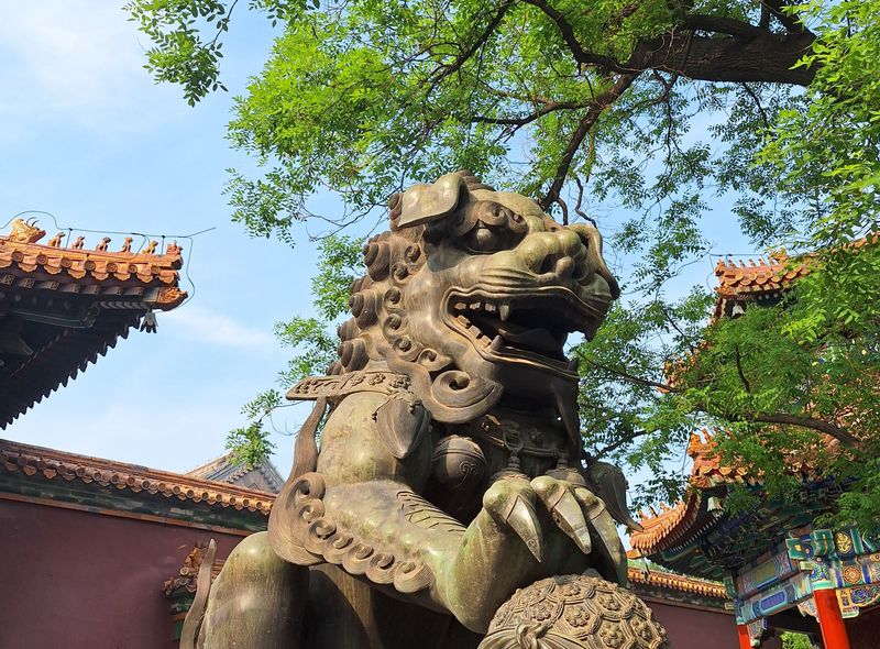 Groepsreis China