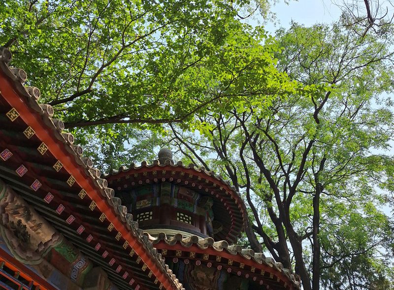 Groepsreis China