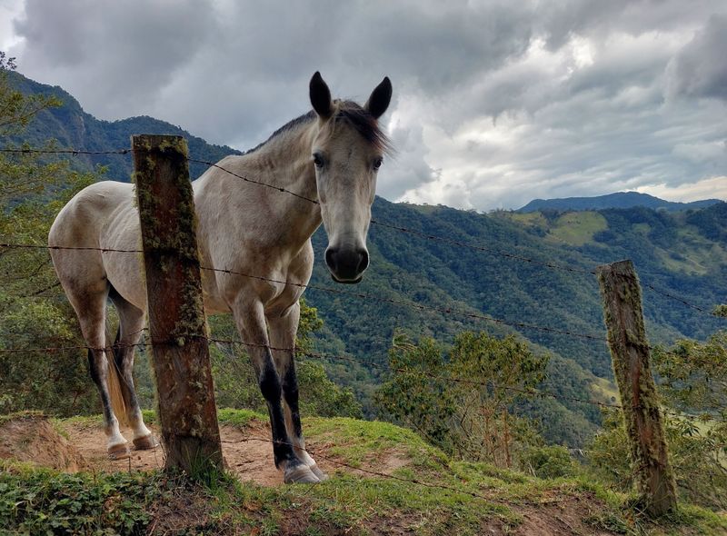 Groepsreis Colombia