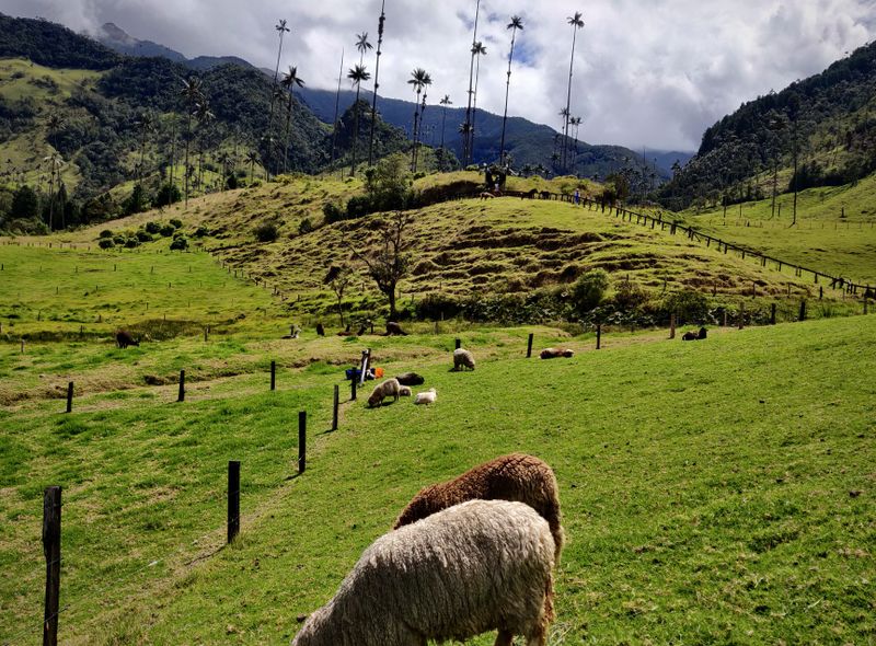 Groepsreis Colombia