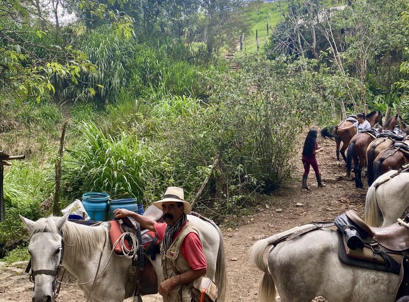 Groepsreis Colombia