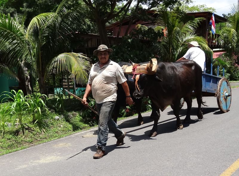 Groepsreis Costa Rica, Comfort