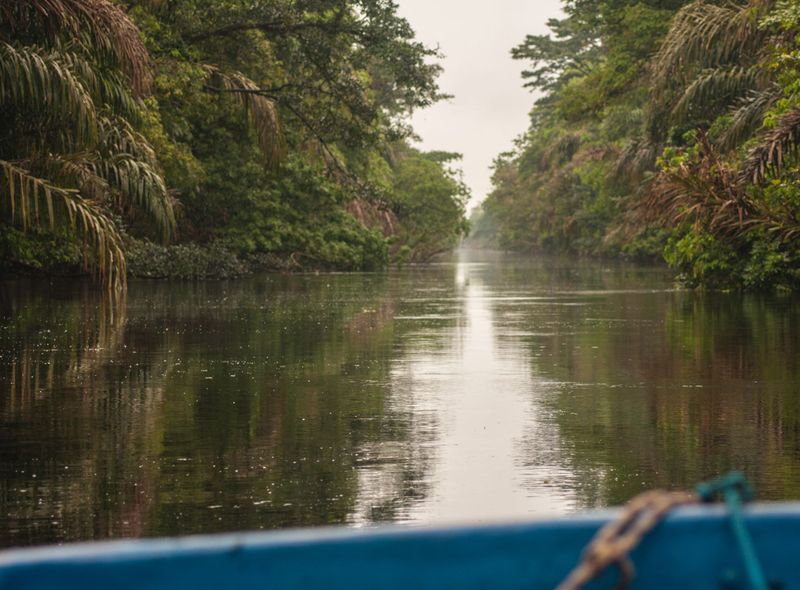 Groepsreis Costa Rica, Comfort