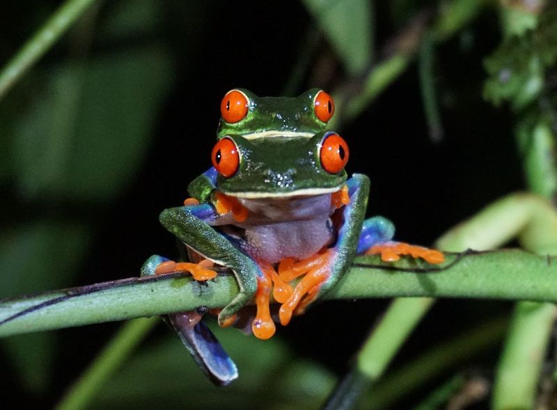 Costa Rica
