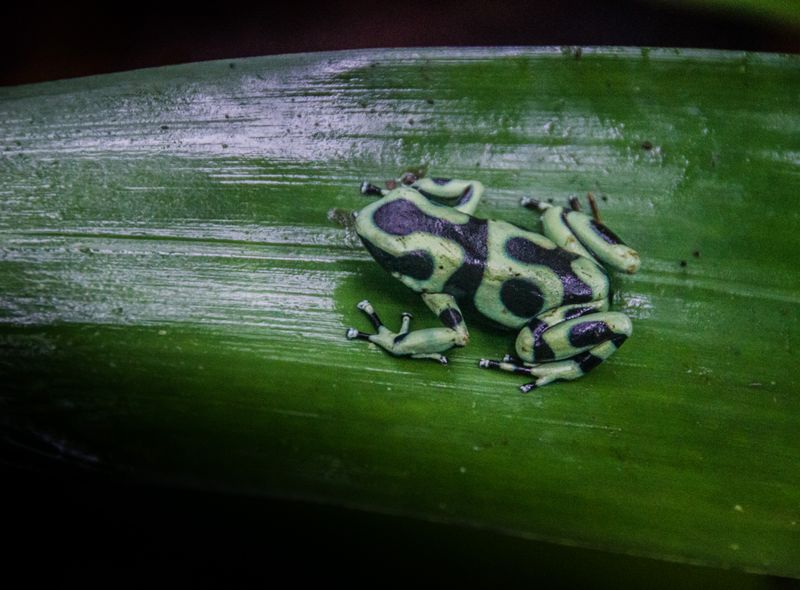 Groepsreis Costa Rica, Comfort