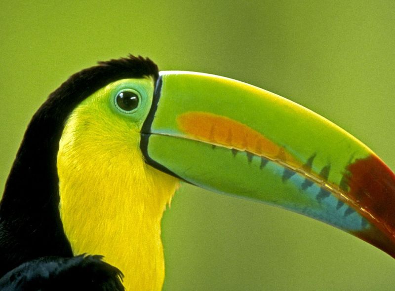 Costa Rica