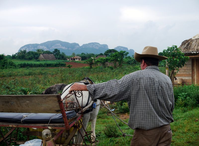 Joker Groepsreis Cuba
