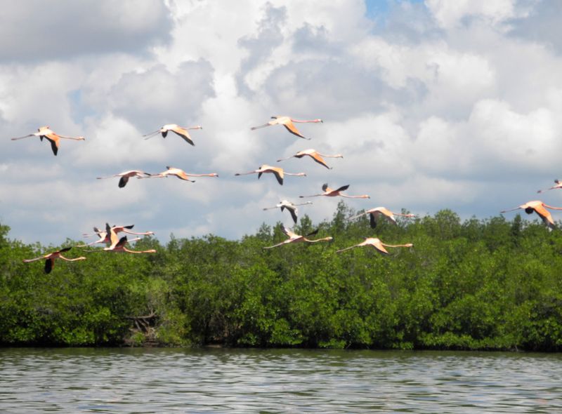 Joker Groepsreis Cuba