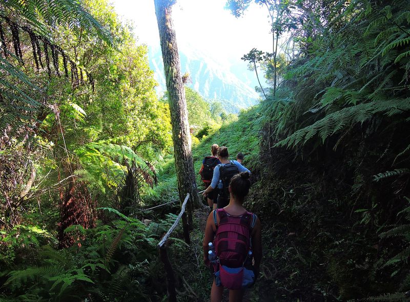 Joker Groepsreis Cuba