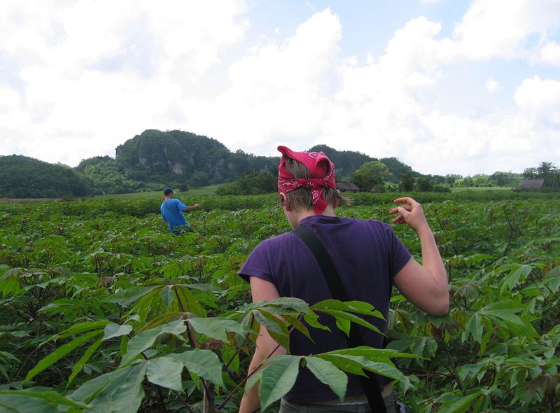 Joker Groepsreis Cuba