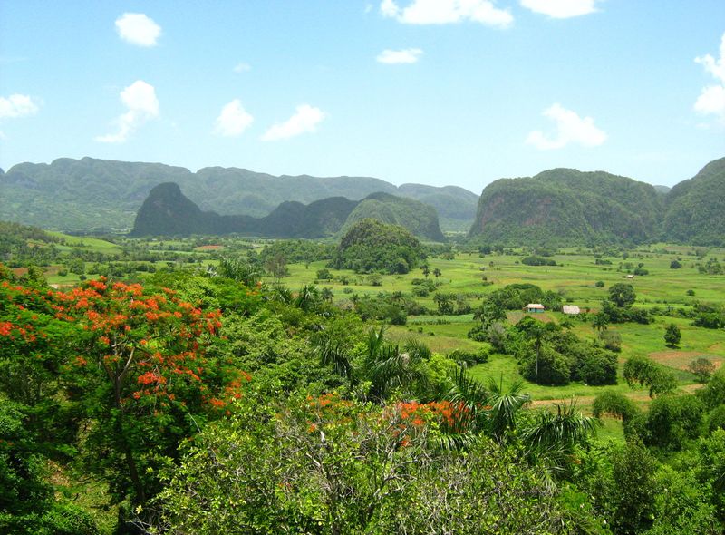 Joker Groepsreis Cuba Vinales