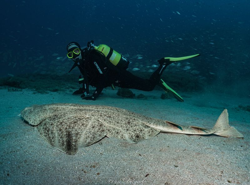 Spanje: Lanzarote Surf &amp; Dive