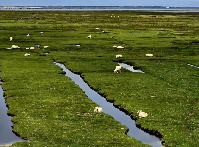 groepsreis Denemarken